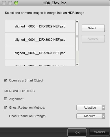 HDR Efex Pro Setting Dialog Box