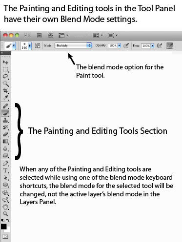 The Painting and Editing section of the Tools Panel