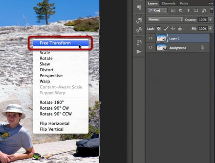 Selecting the Free Transform option.